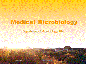 医学微生物学大学微生物系课件.pptx