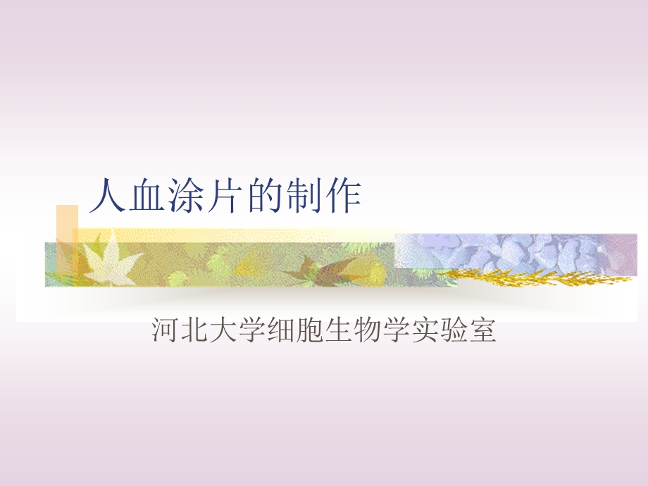 人血涂片的制作课件.ppt_第1页