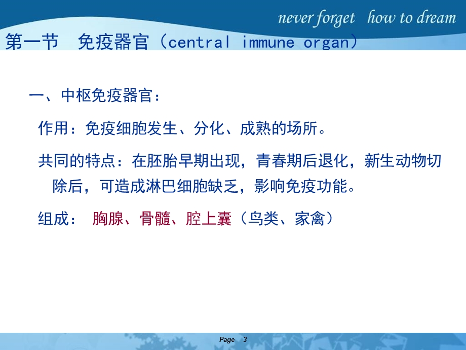 免疫系统的组织器官与细胞课件.ppt_第3页