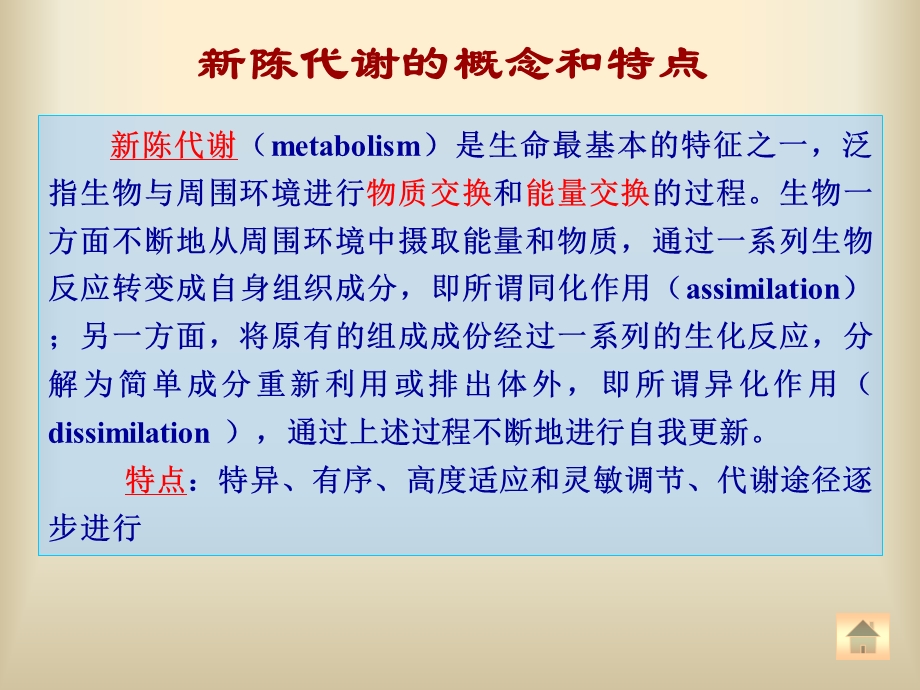 基础生物化学第9章糖代谢ppt课件.ppt_第3页