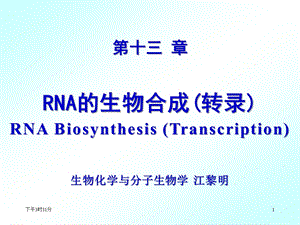 （生物化学教学ppt课件）第13章 rna的生物合成.ppt