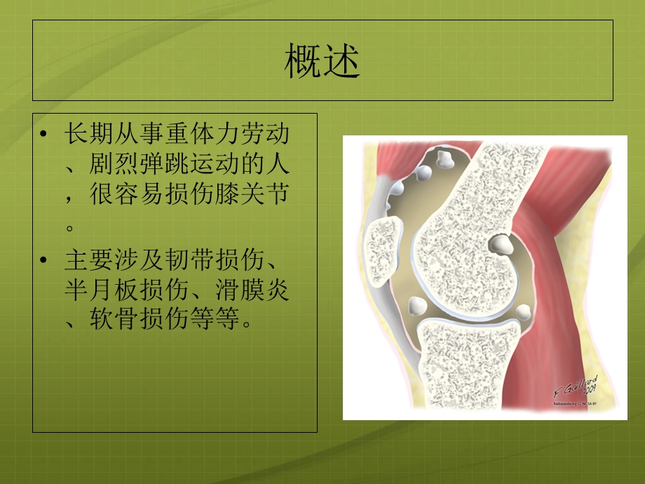 膝关节针灸治疗课件.ppt_第2页