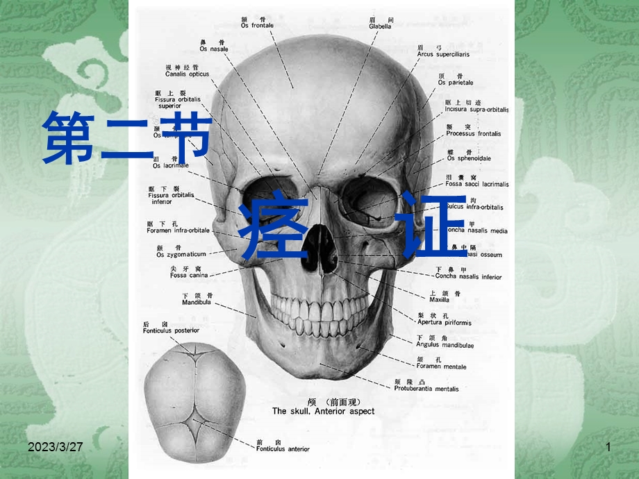 中医内科学ppt课件-痉证.ppt_第1页