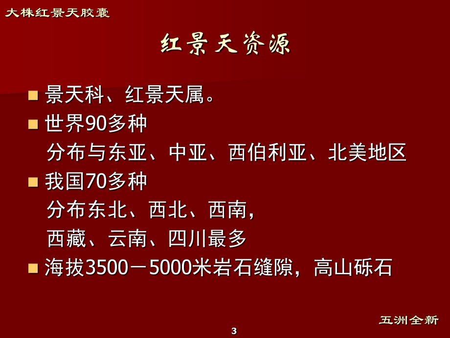 大株红景天胶囊五洲全新课件.ppt_第3页