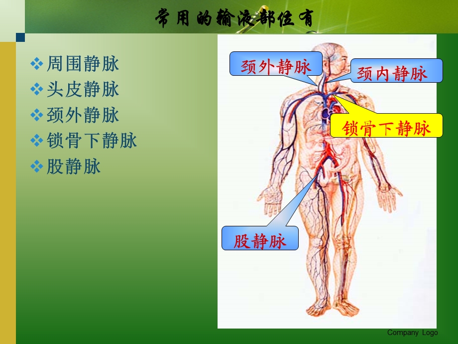 静脉输液课件解析.ppt_第2页