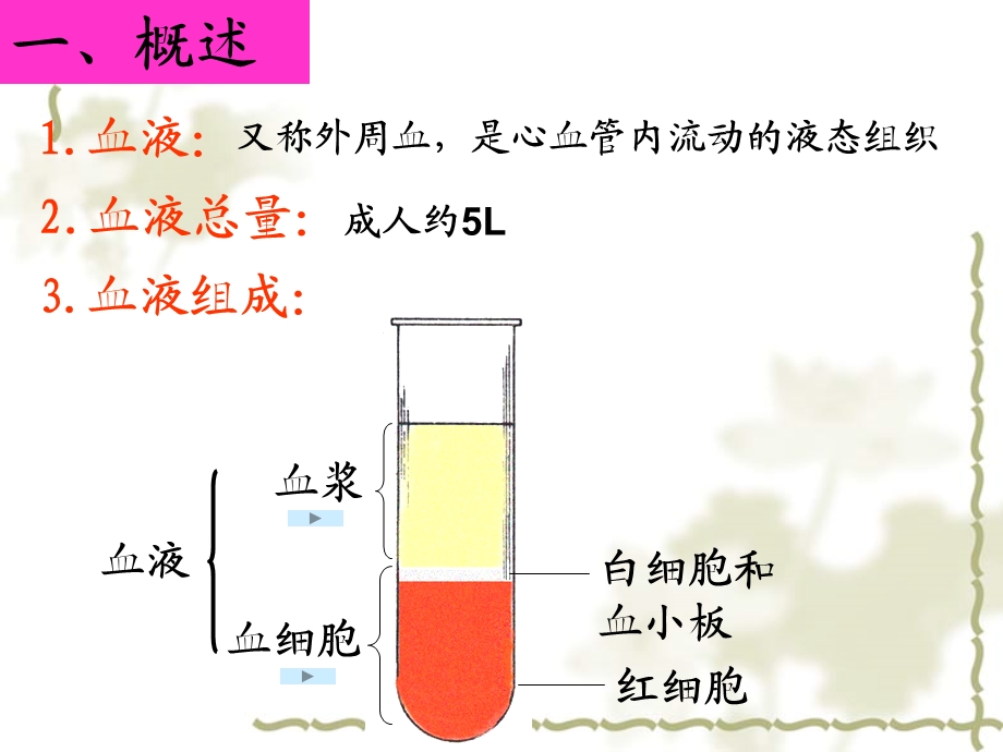 《组织学与胚胎学》第4章 血液课件.ppt_第3页