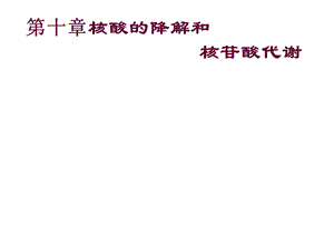 《生物化学》第十章54核酸的降解和核苷酸代谢课件.ppt