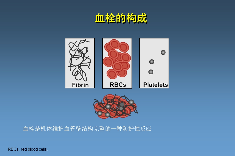 血栓形成机制与抗栓药物展望课件.ppt_第2页