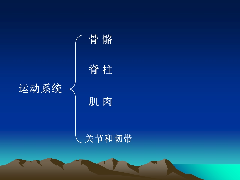 运动系统ppt课件.ppt_第3页