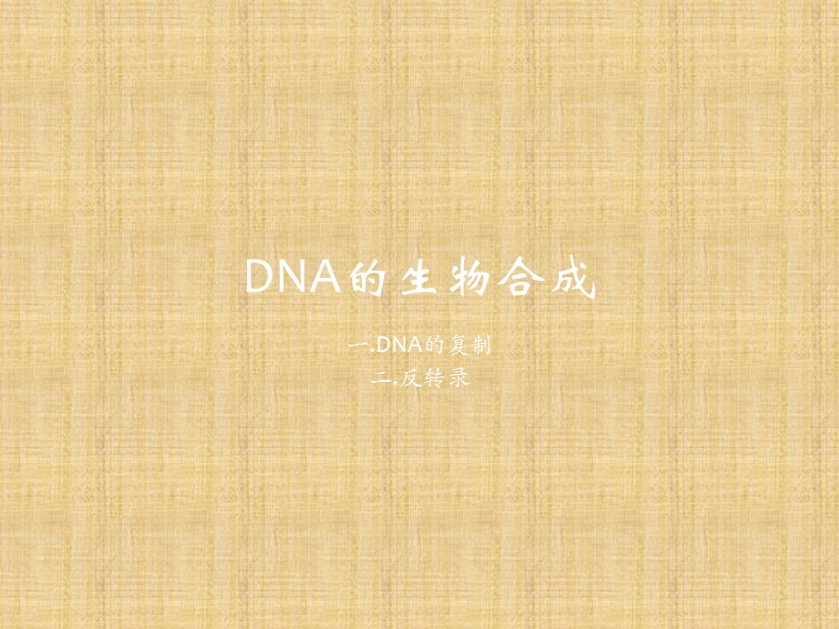 DNA的生物合成-课件.ppt_第1页