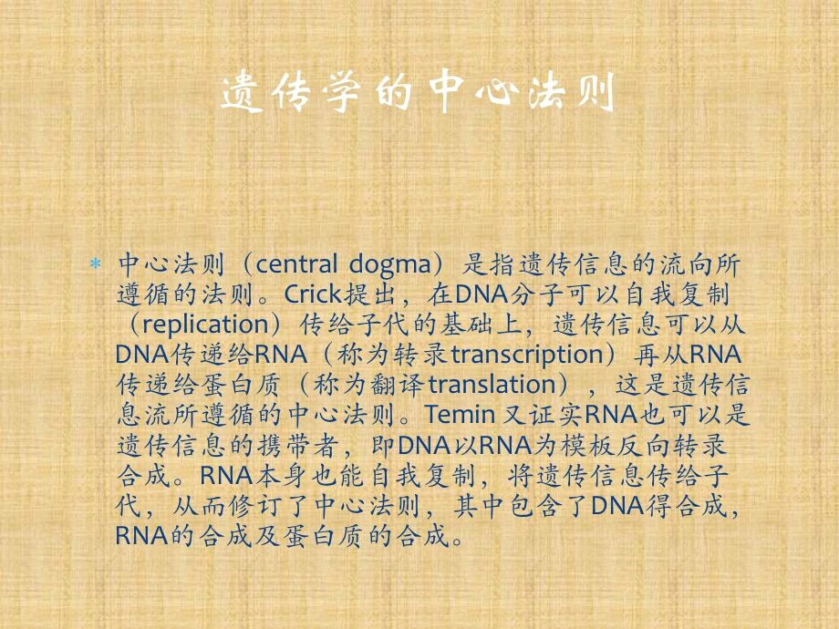 DNA的生物合成-课件.ppt_第2页