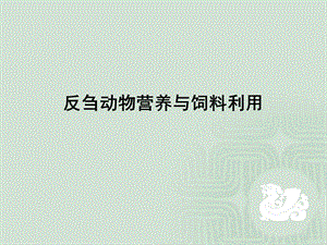 反刍动物饲料利用课件.ppt