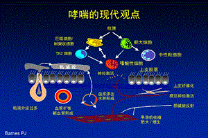 儿童哮喘诊治研究进展(课件).ppt