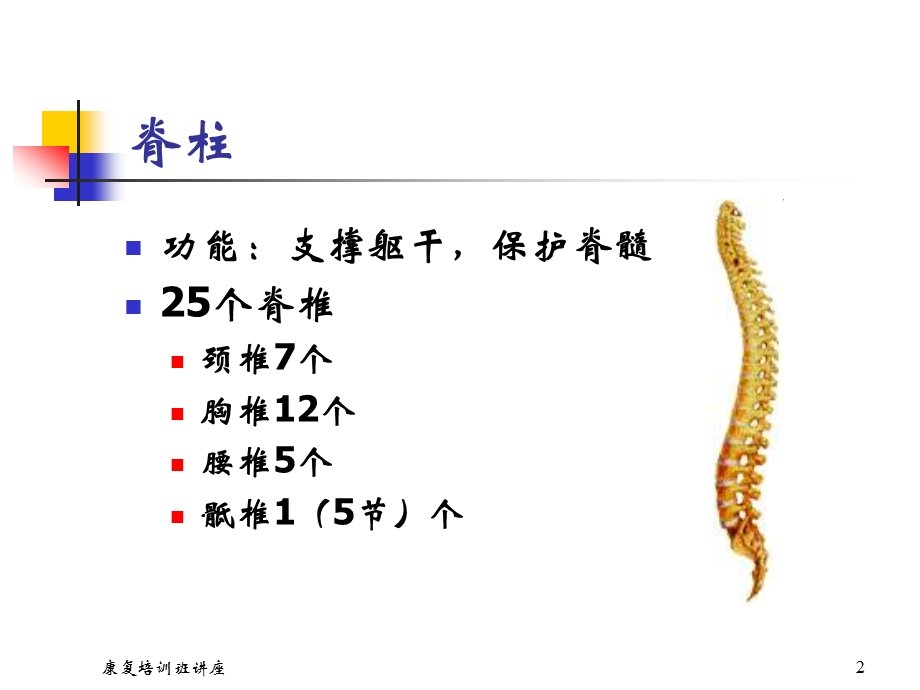 脊髓损伤康复护理课件.ppt_第2页