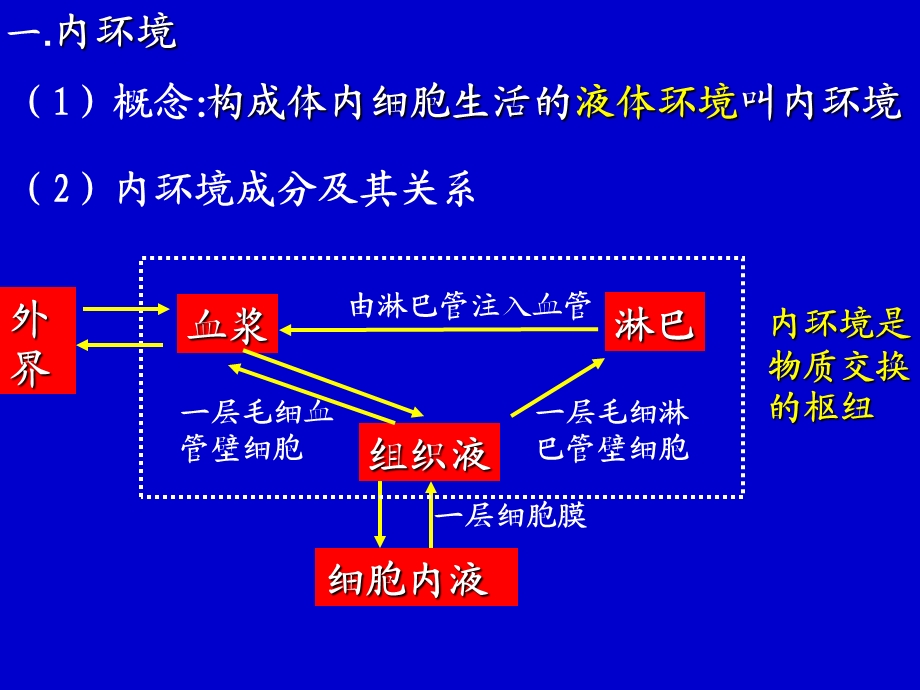 内环境与稳态复习讲解课件.ppt_第2页