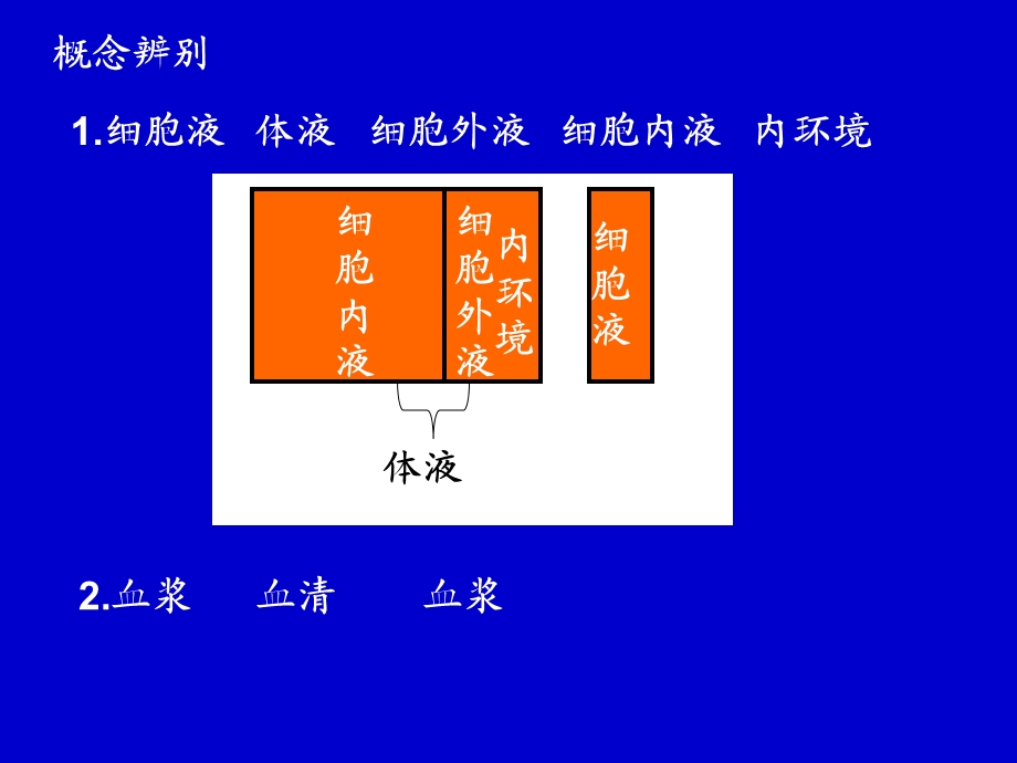 内环境与稳态复习讲解课件.ppt_第3页