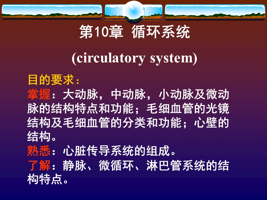 组织胚胎学ppt课件 循环系统kqz.ppt_第2页