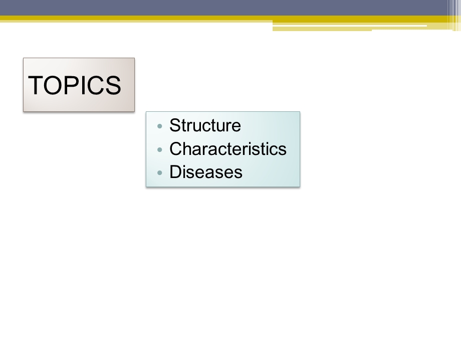 THE-DIFFERENCES-BETWEEN-PLANT-AND-ANIMAL-VIRUSES：植物和动物病毒之间差异课件.ppt_第2页