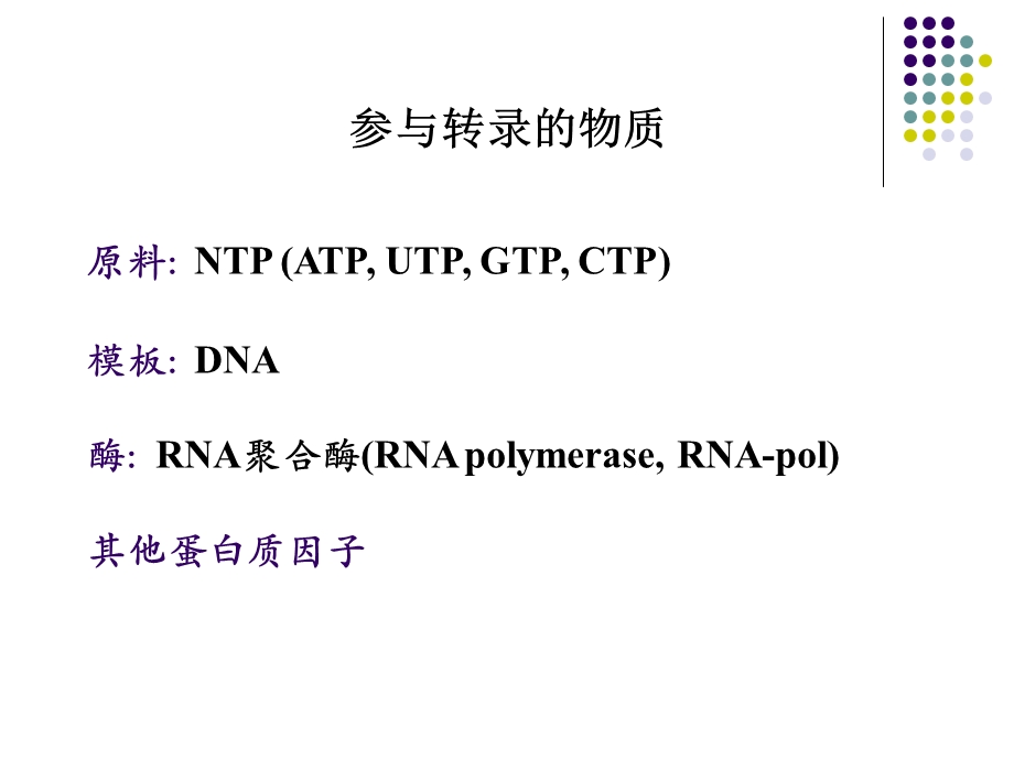 RNA的生物合成(动物生化)模版ppt课件.ppt_第3页