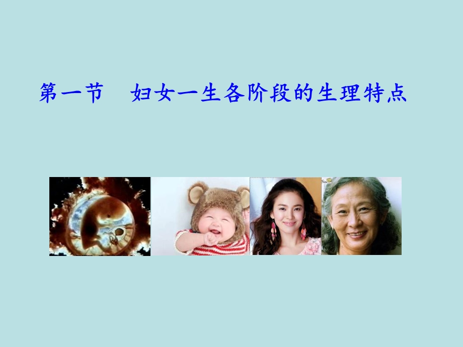 妇产科学——女性生殖系统生理课件.ppt_第3页