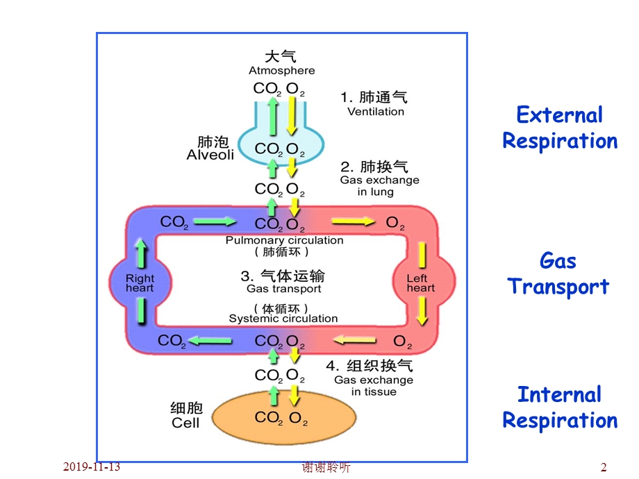 呼吸病理生理课件.pptx_第2页