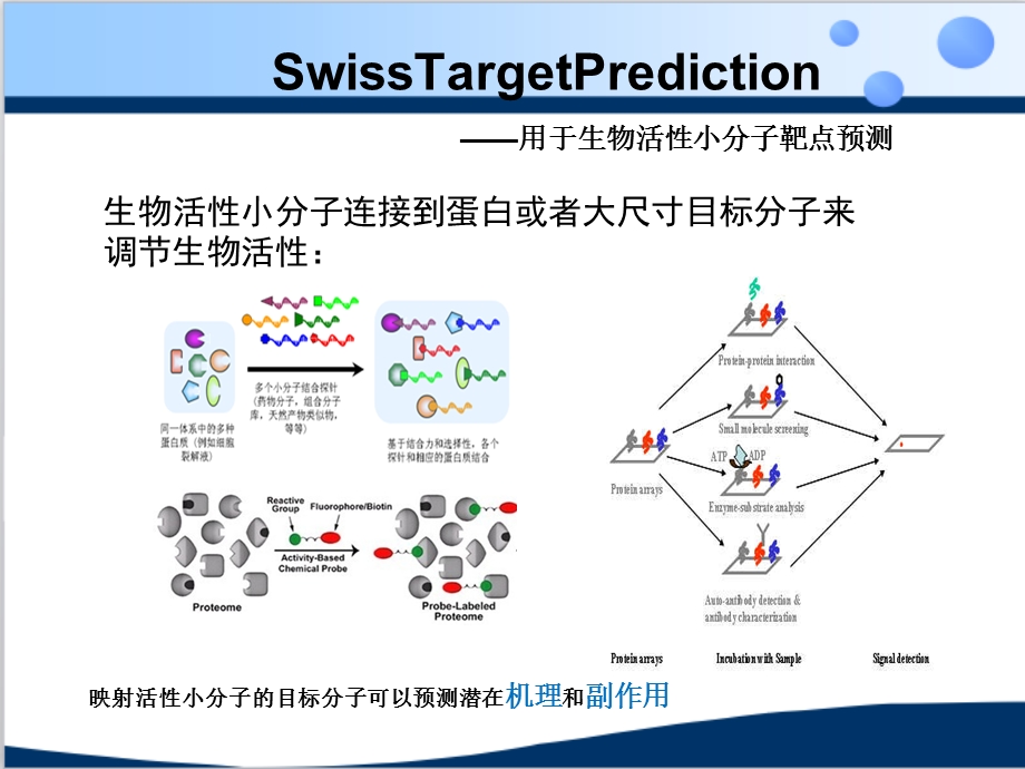 药物及生物活性小分子发现与分子设计_课件.ppt_第3页