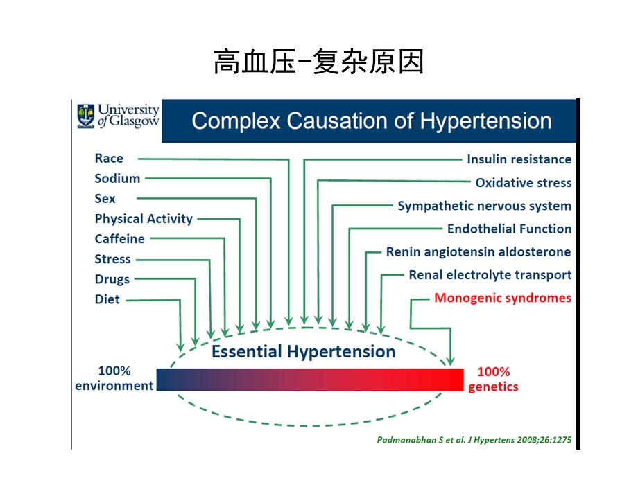 难治性高血压-基因与遗传背景ppt课件.ppt_第3页