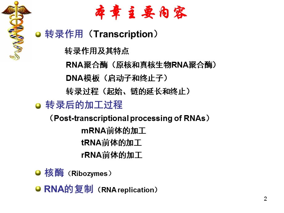 生物化学ppt课件 RNA生物合成.ppt_第2页