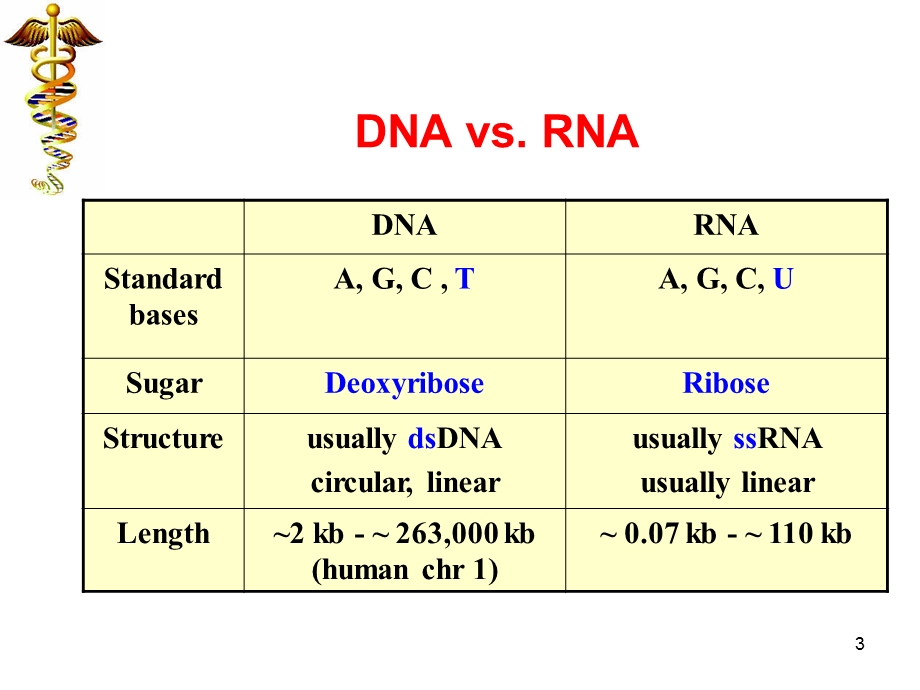 生物化学ppt课件 RNA生物合成.ppt_第3页