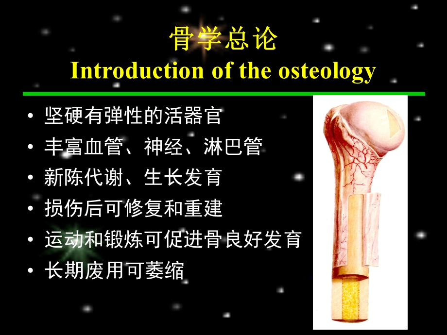 人体骨骼课件.ppt_第1页