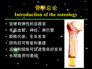 人体骨骼课件.ppt