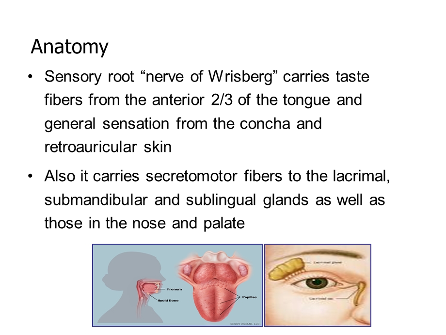 耳鼻咽喉科学英文版ppt课件 facial nerve palsy.ppt_第3页