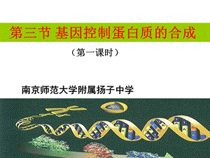 苏教版生物必修二4.3 基因控制蛋白质的合成 ppt课件.ppt