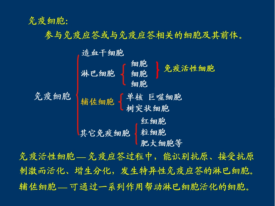 免疫系统(下)免疫细胞课件.ppt_第2页