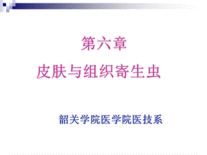 《寄生虫学及检验技术》专科ppt课件-5 皮肤与组织寄生虫.ppt