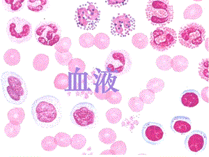 组织胚胎学 DC血液课件.ppt