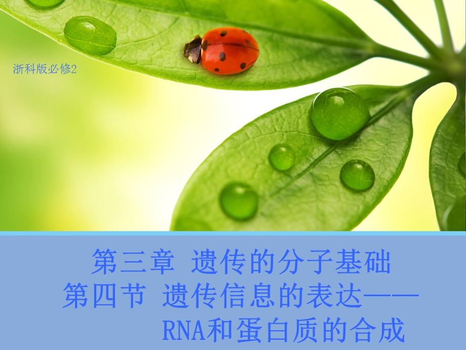 2015-2016学年高一生物浙科版必修2ppt- 遗传信息的表达RNA和蛋白质的合成课件.ppt_第1页