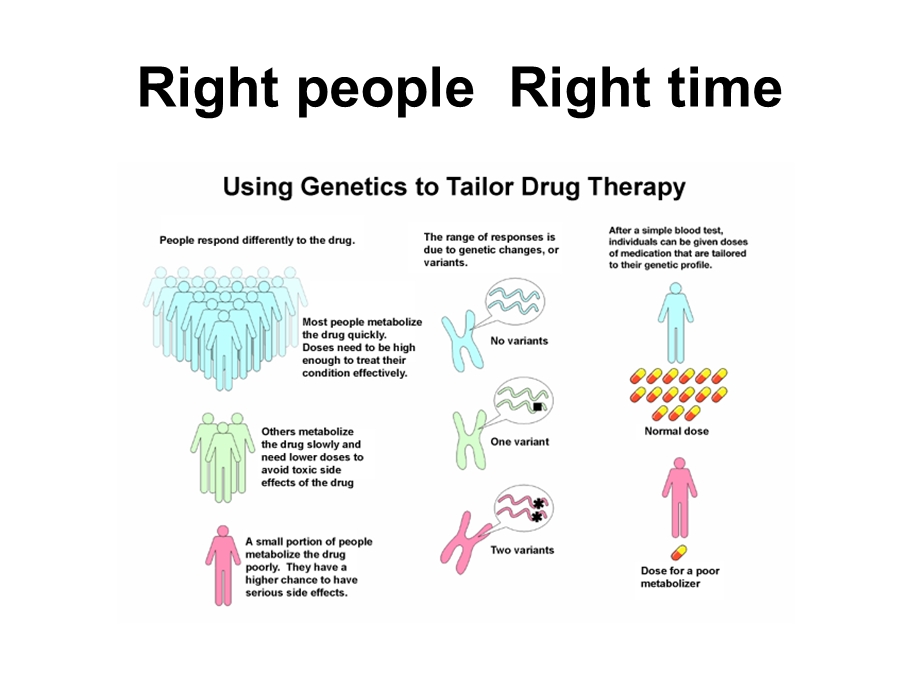 经典化疗药物biomarker课件.pptx_第2页