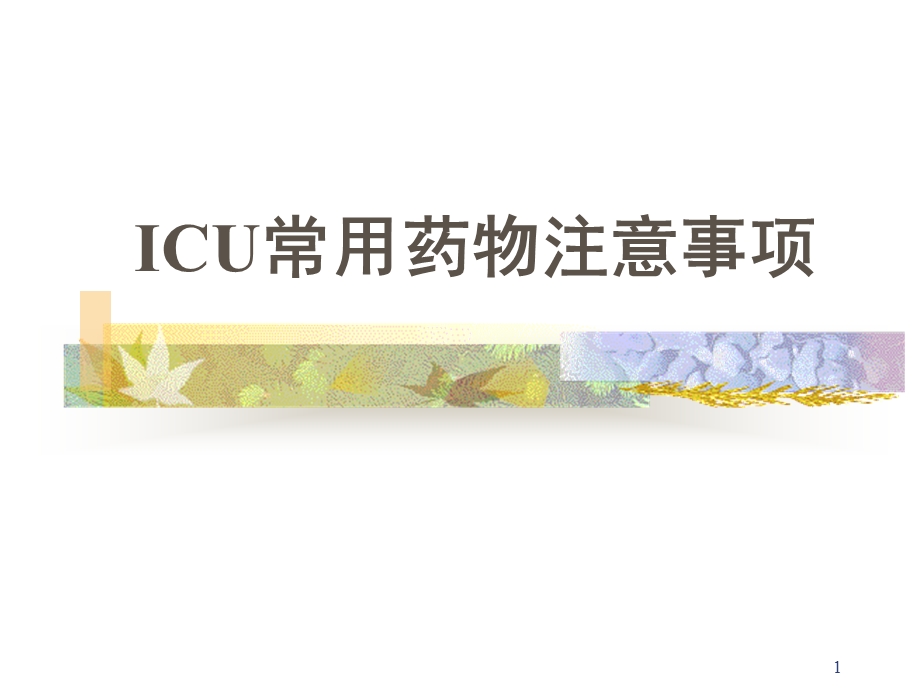 ICU常用药物使用注意事项演示ppt课件.ppt_第1页