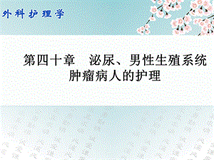 外科护理学配套光盘 泌尿、男性生殖系统肿瘤病人的护理课件.ppt