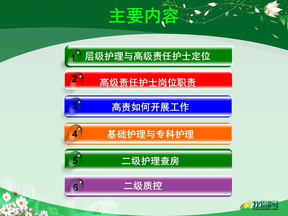 高级责任护士课件.ppt_第2页