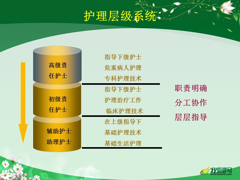 高级责任护士课件.ppt_第3页