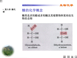 (生物化学ppt课件）糖代谢.ppt