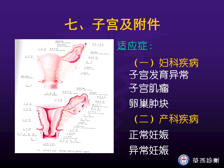 超声诊断-腹部课件.ppt_第2页