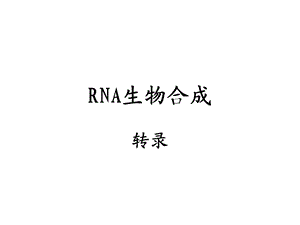 RNA生物合成生化ppt课件.ppt