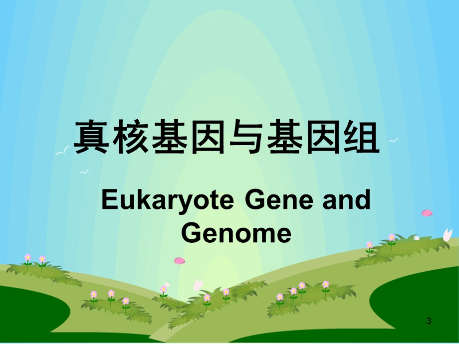 七科联考生物化学第十四章DNA的生物合成 课件.ppt_第3页