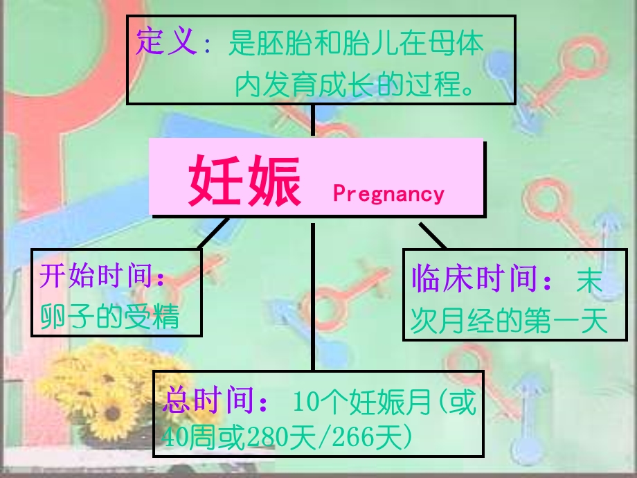 妊娠期妇女的护理（一）课件.ppt_第2页