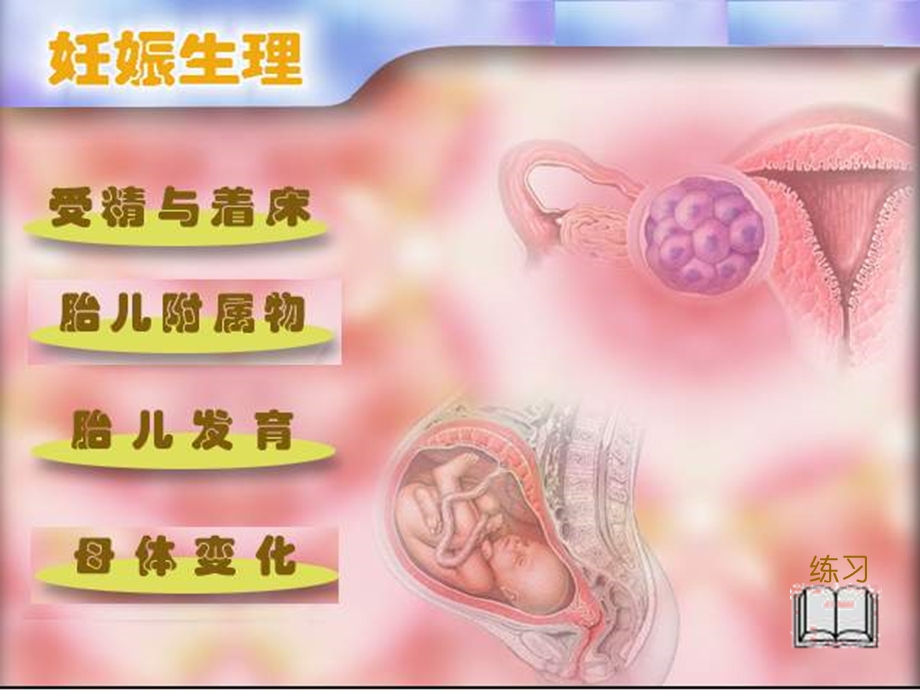 妊娠期妇女的护理（一）课件.ppt_第3页