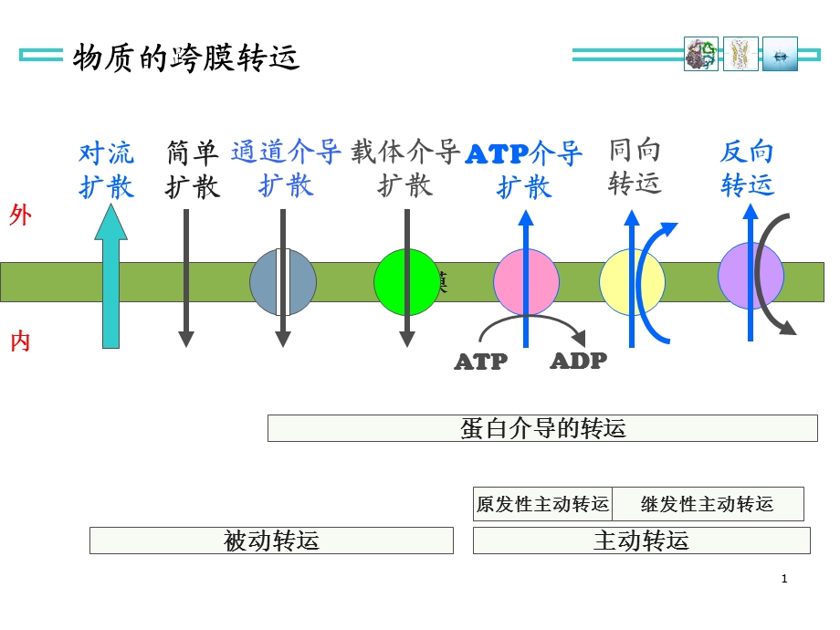 利尿药和脱水药课件ppt.ppt_第2页