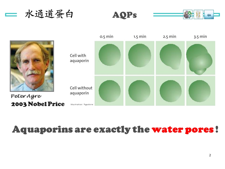 利尿药和脱水药课件ppt.ppt_第3页